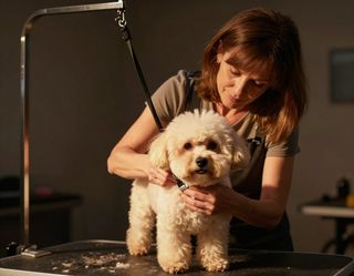 Pet Grooming Software with Booking, Scheduling, CRM, Management and Marketing